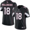 Cardinals #18 Lee Mulleneaux Stitched Black Jersey